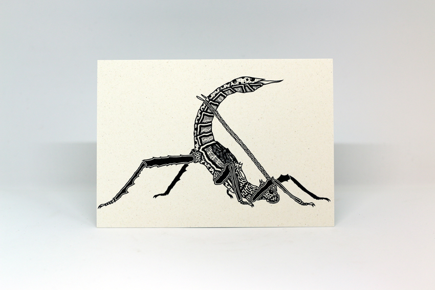 Postcard 15 - Heteropteryx dilatata