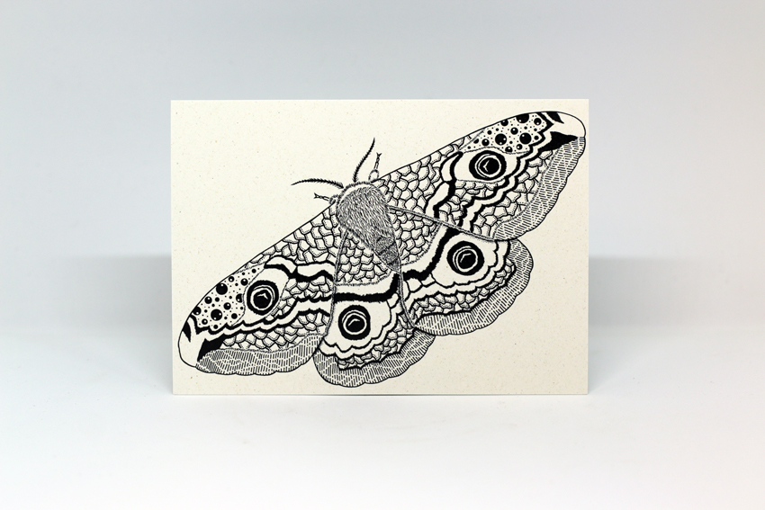 Greeting cards - Insects