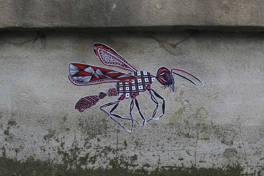 Flying ant ('Formicidae')
