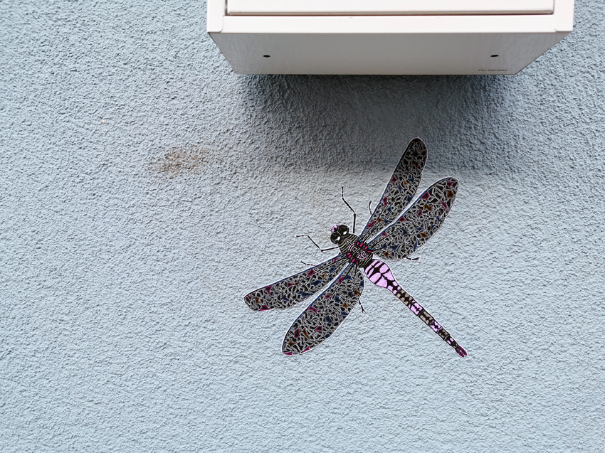 Emperor dragonfly ('Anax imperator')