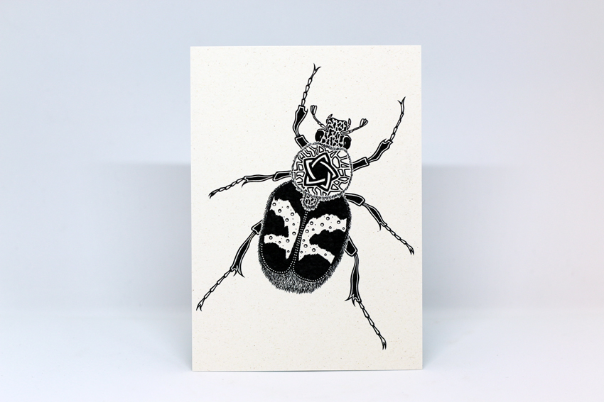 Postcard 17 - Trichius fasciatus