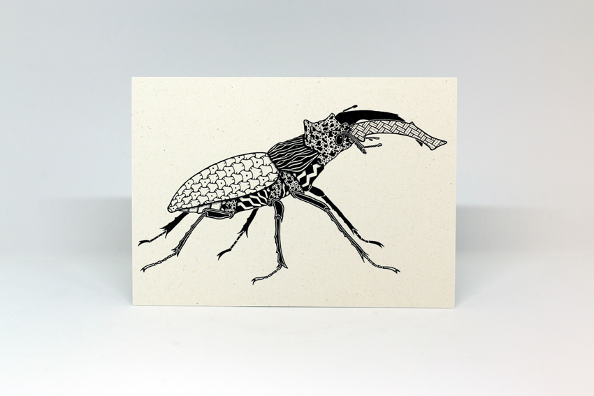 Postcard 19 - Lucanus cervus