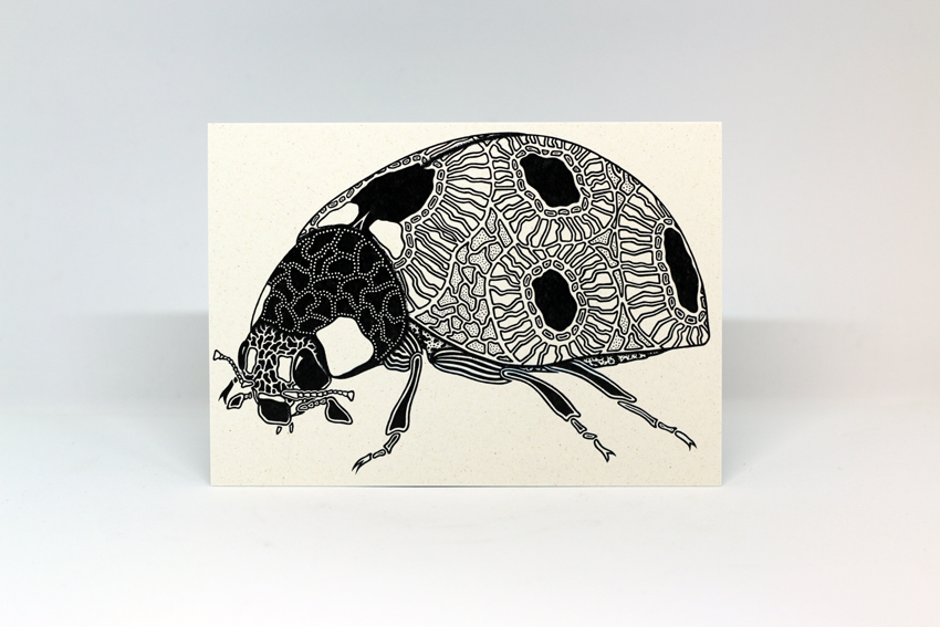 Postcard 21 - Coccinella septumpunctata